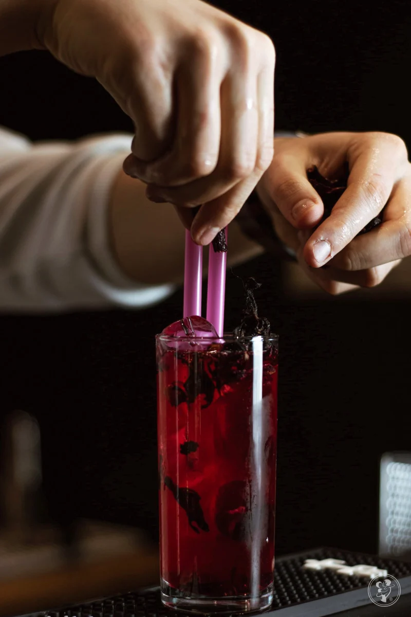 Mobilny Drink Bar na Twój Event | TastyTravels — zdjęcie 5
