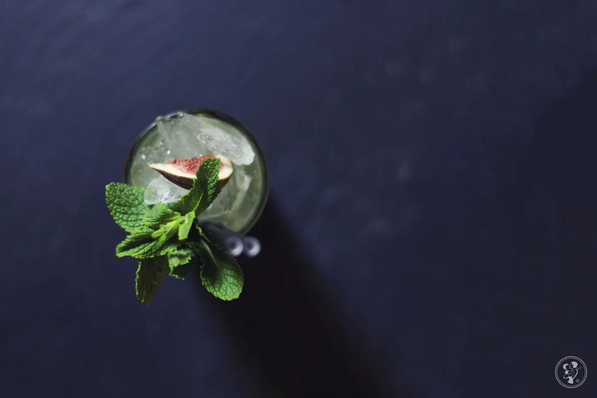 Kompleksowa i profesjonalna obsługa barmańska | Cocktail Event Bar — zdjęcie 17