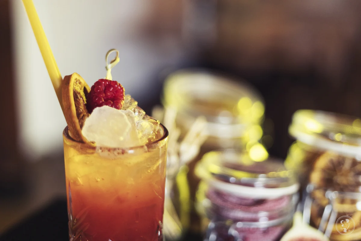 Kompleksowa i profesjonalna obsługa barmańska | Cocktail Event Bar — zdjęcie 18
