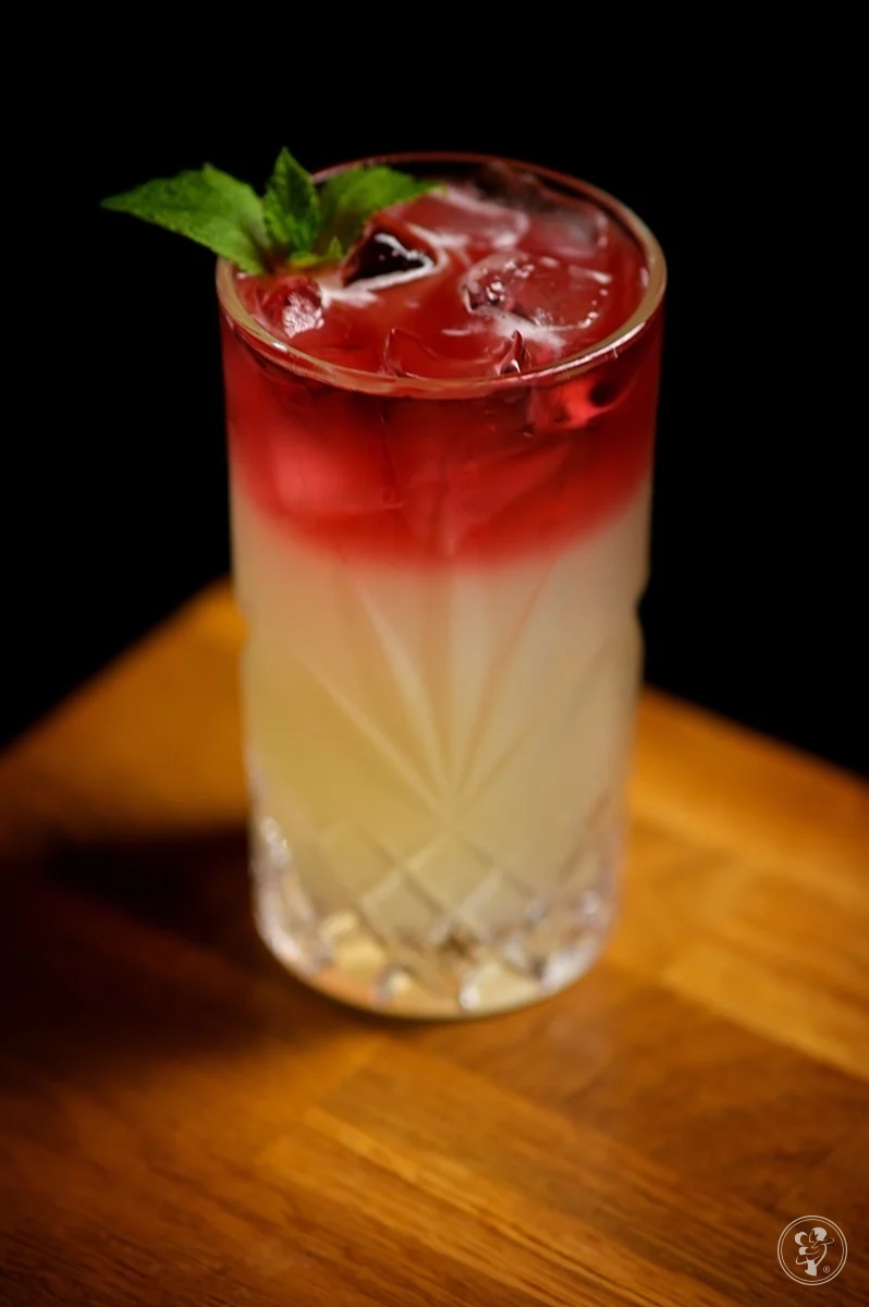 Obsługa Barmańska i Widowiskowe Pokazy | Cocktail Makers — zdjęcie 16