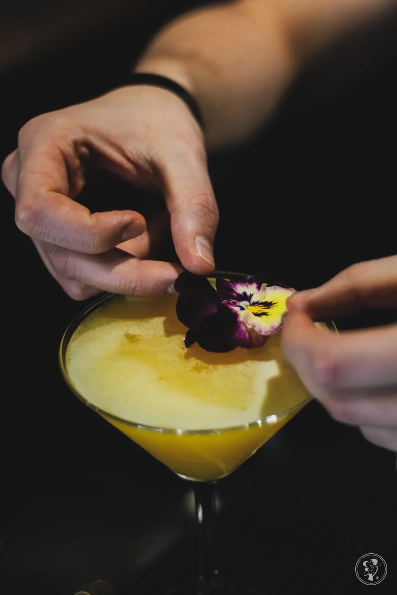 Mobilny Drink Bar na Twój Event | TastyTravels — zdjęcie 4
