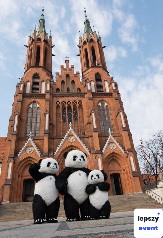 Maskotka Panda Tosia i animacja dla dzieci — zdjęcie 3