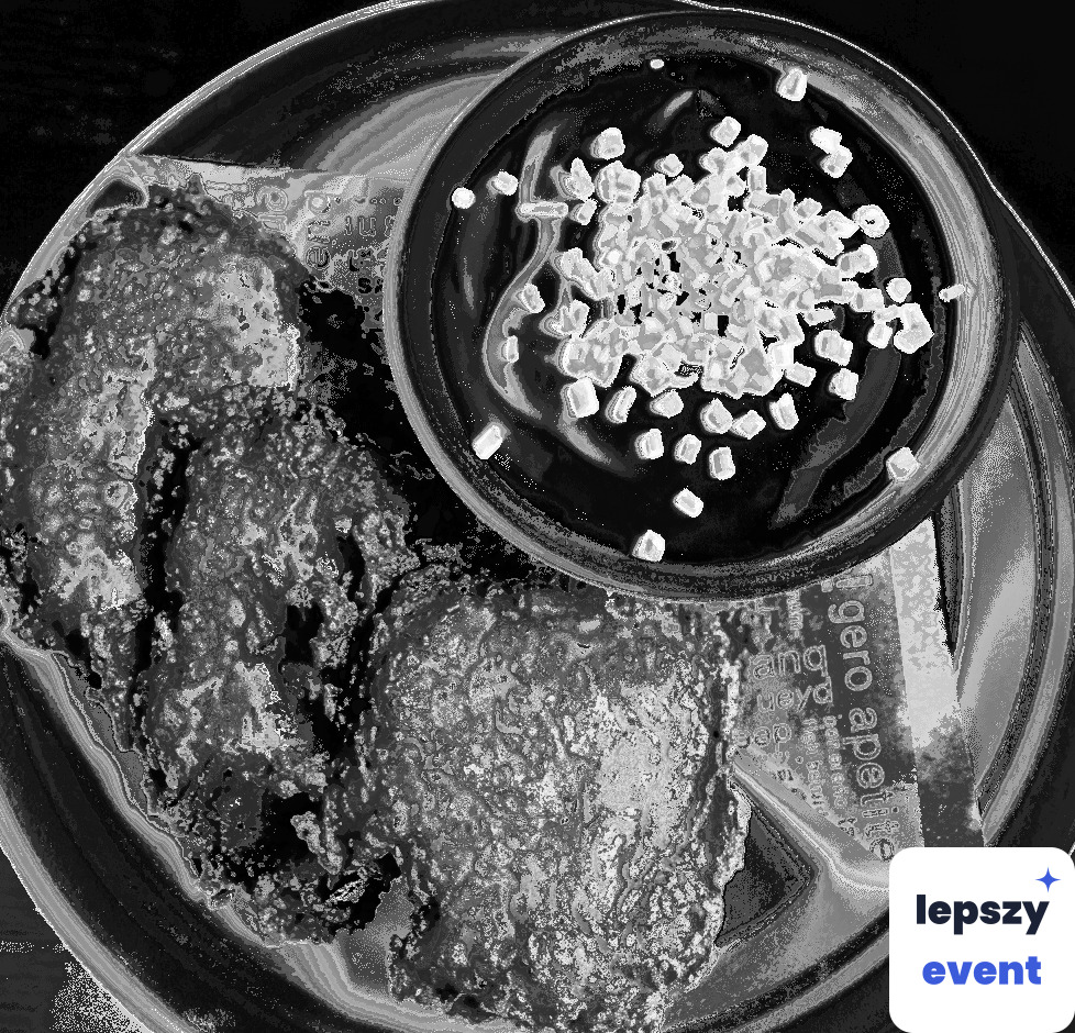 Unikatowa atrakcja eventowa | The Crispy Legend - street food — zdjęcie 4
