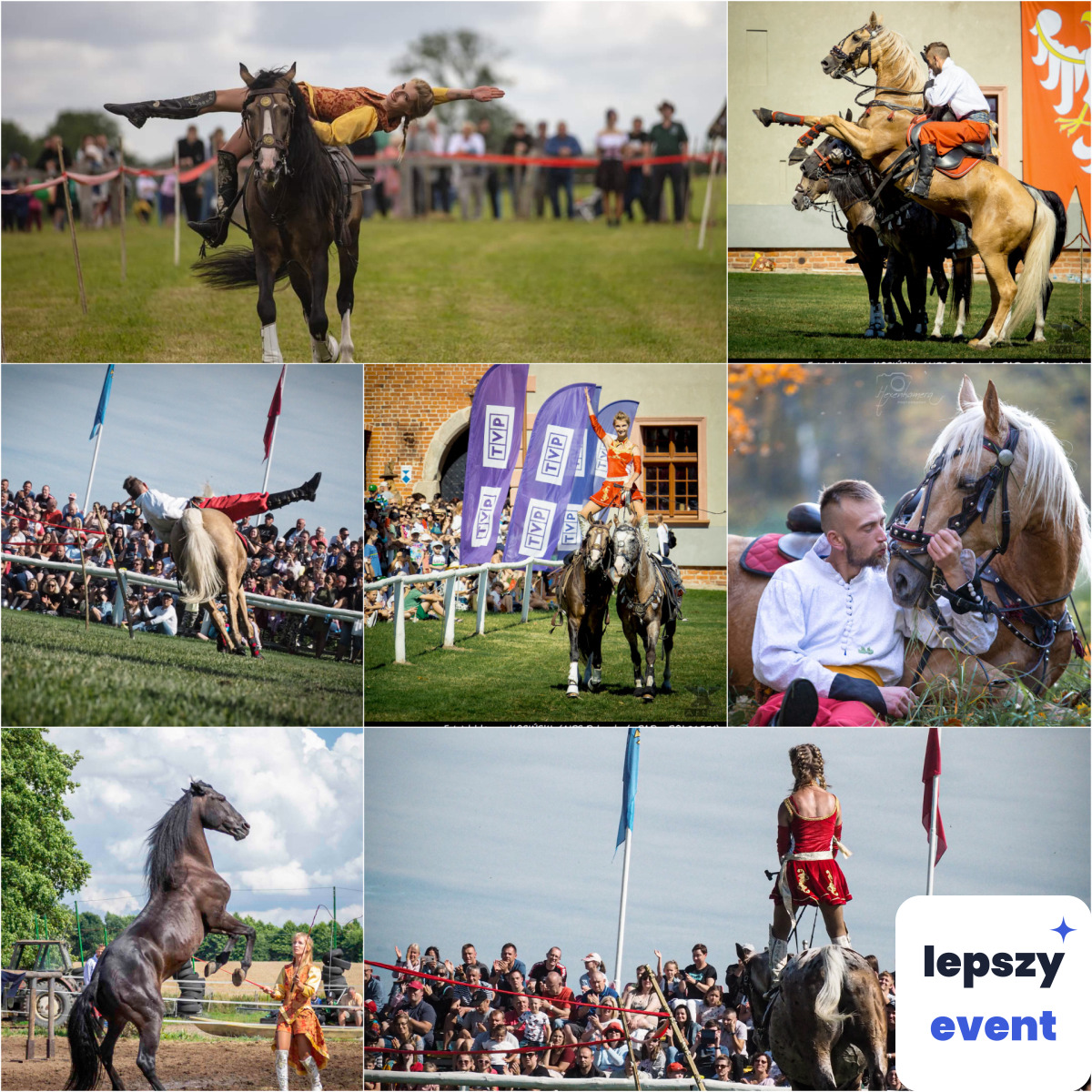 Unikatowa atrakcja eventowa | pokazy-konne-jako-atrakcja-do-wesela-53776 — zdjęcie 2