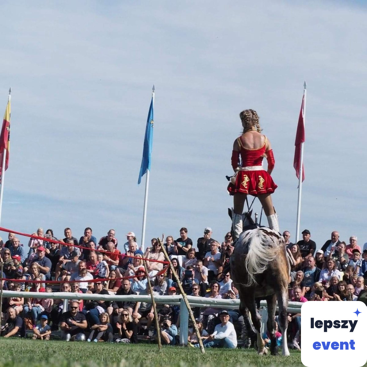 Unikatowa atrakcja eventowa | pokazy-konne-jako-atrakcja-do-wesela-53776 — zdjęcie 5