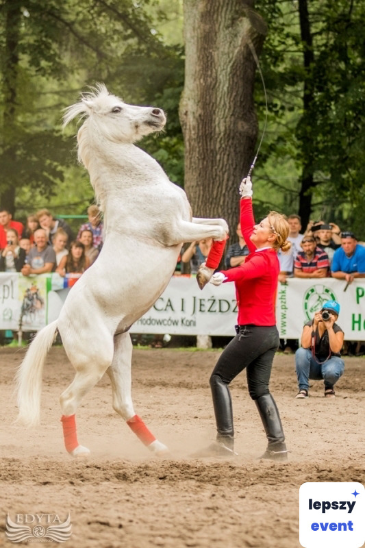 Unikatowa atrakcja eventowa | TEATR KONNY CABRIOLA - pokazy konne — zdjęcie 2