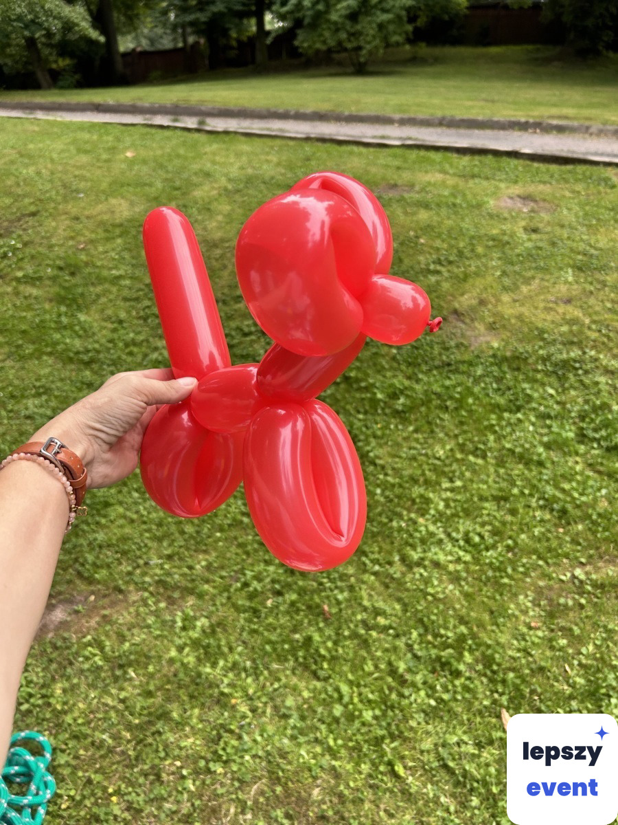 Animacje dla dzieci na event | magiczna_ważka — zdjęcie 4