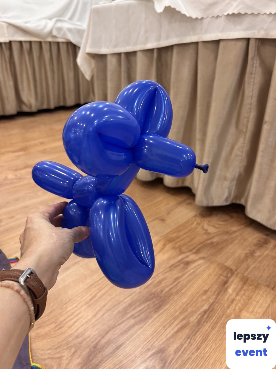 Animacje dla dzieci na event | magiczna_ważka — zdjęcie 5