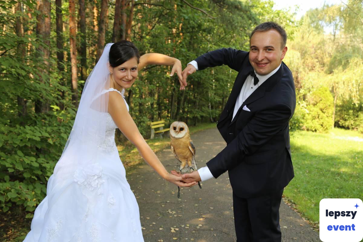 Pokaz sokolniczy i sesja z ptakami drapieżnymi — zdjęcie 4