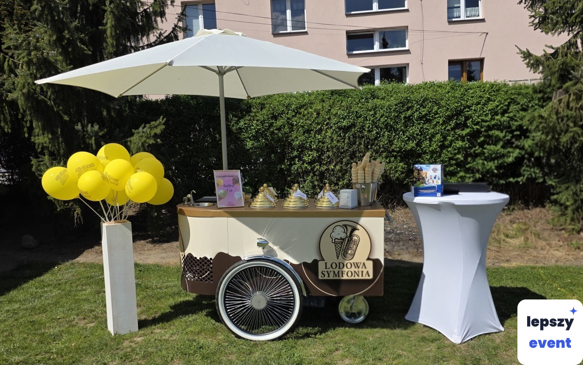 Unikatowa atrakcja eventowa | Lodowa Symfonia — zdjęcie 2