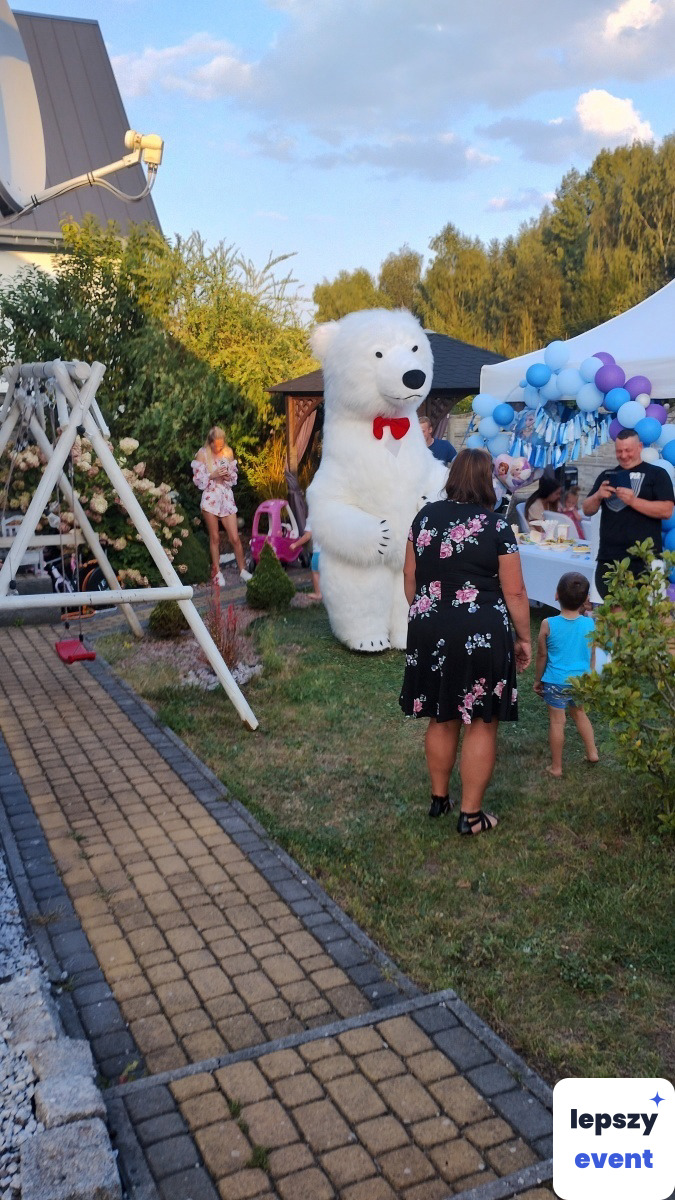 Biały Miś - żywa maskotka do wynajęcia — zdjęcie 3