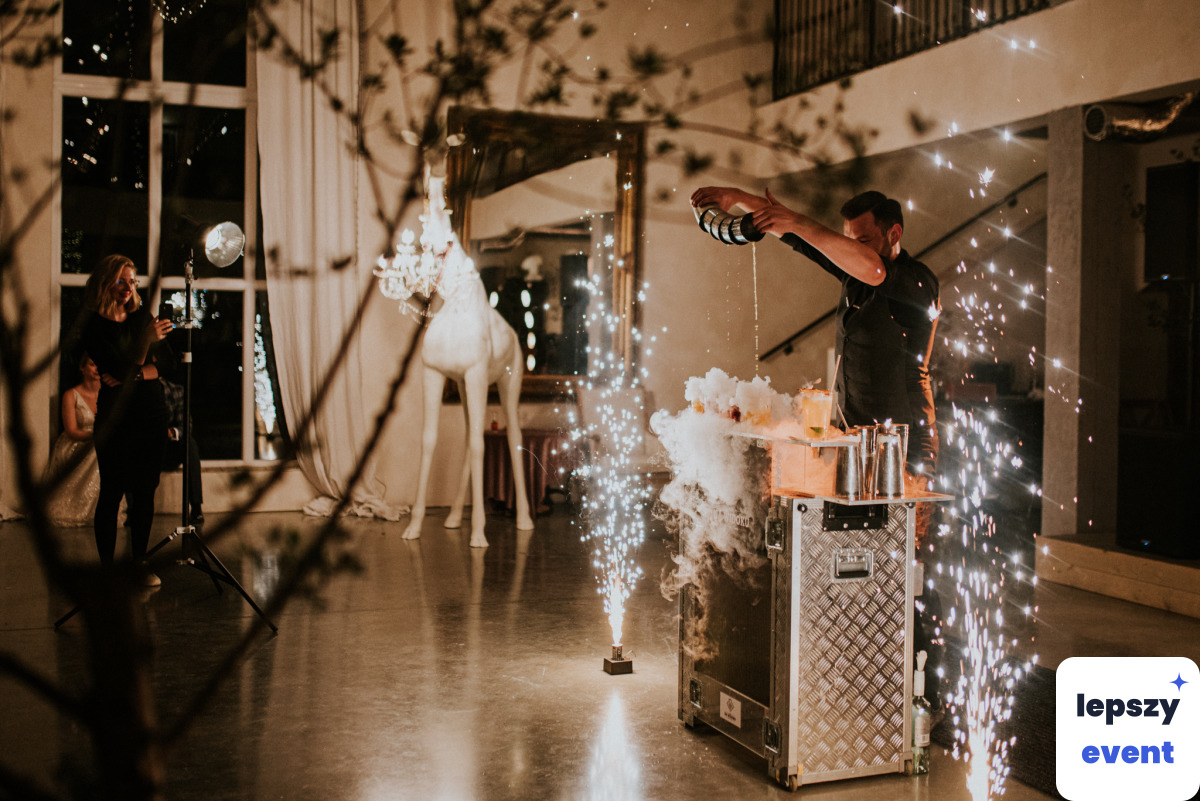 Mobilny drink bar i obsługa barmańska | Bar na Widoku- Cocktailbar — zdjęcie 5
